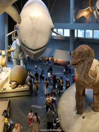 Shanghai Natural History Museum สุดอลังการว้าวสุดๆ