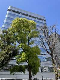 🌿新宿公園で植物に囲まれてリフレッシュ！🍃