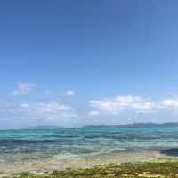 【沖縄】🇯🇵 川平タバガー