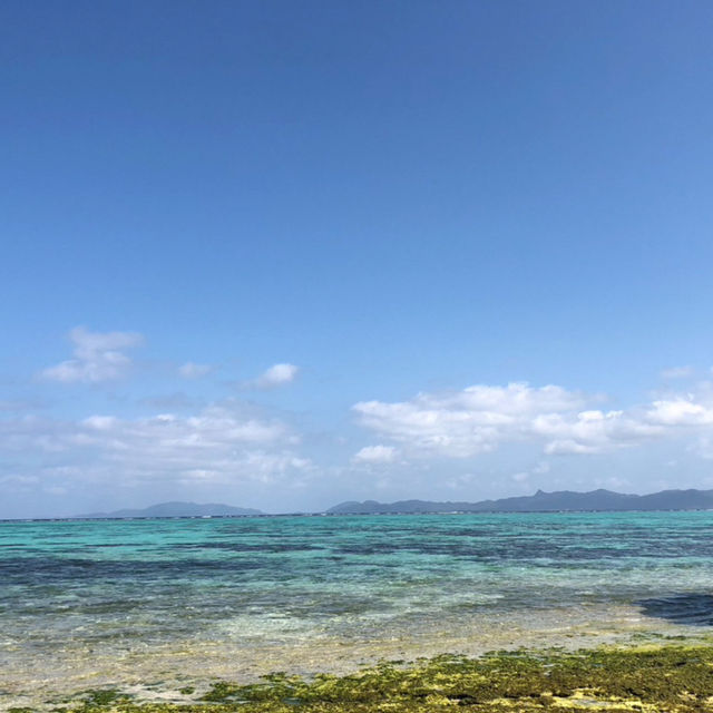 【沖縄】🇯🇵 川平タバガー