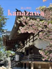【金沢×尾山神社】 ステンドグラスの個性的な神門 八重桜が素晴らしい