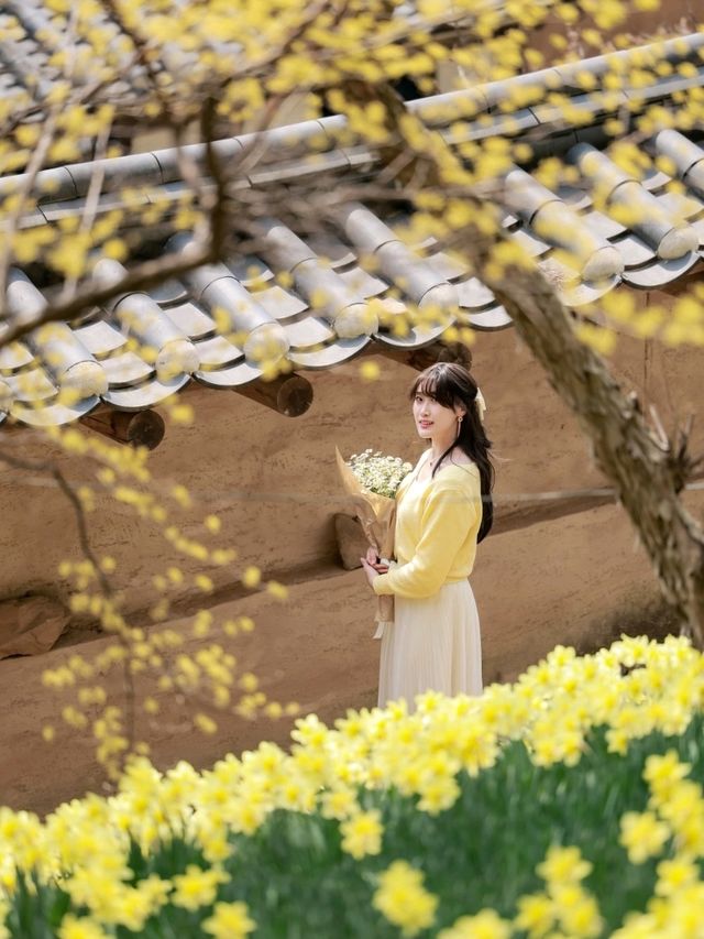 문화유산과 꽃의 조합