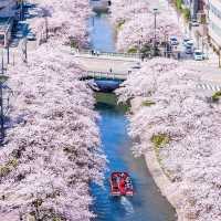 Toyama