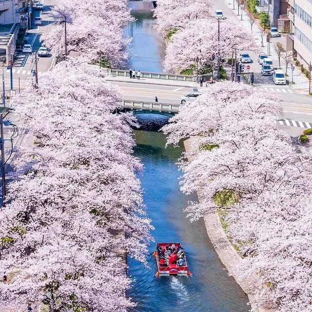 Toyama