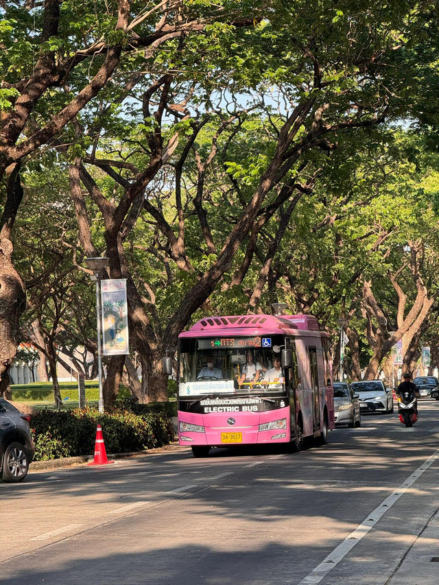 曼谷市中心的靜謐綠洲——朱拉隆功大學隨意走走