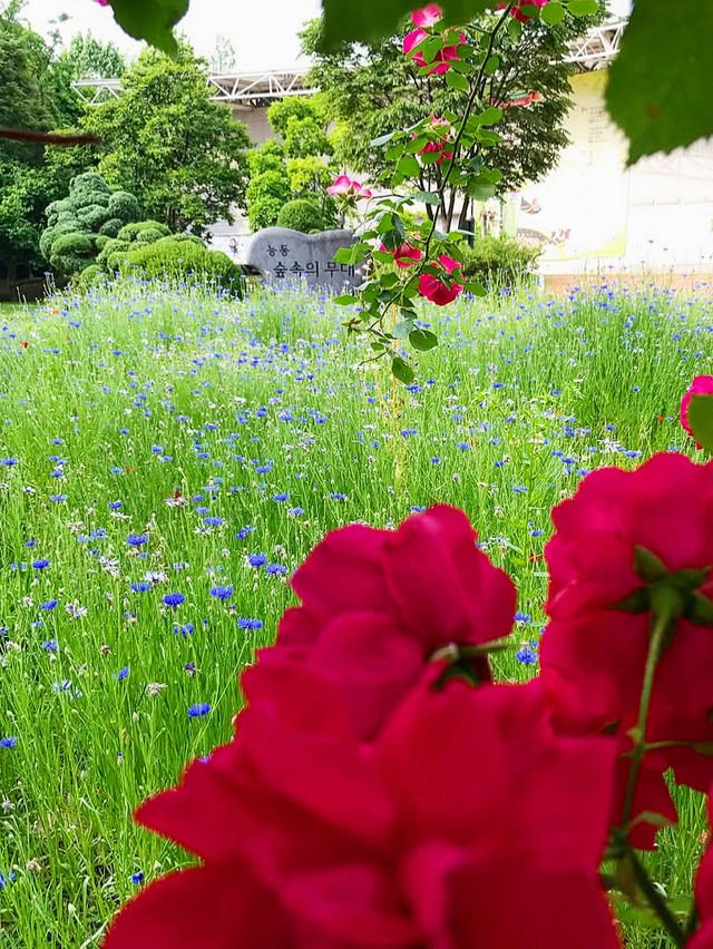 首爾景點｜首爾兒童大公園免費參觀動物園💜