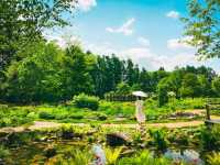 Furano in Full Bloom: Discover the Magic of Kaze no Garden