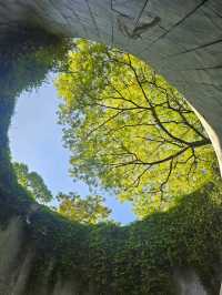 Fort Canning Park