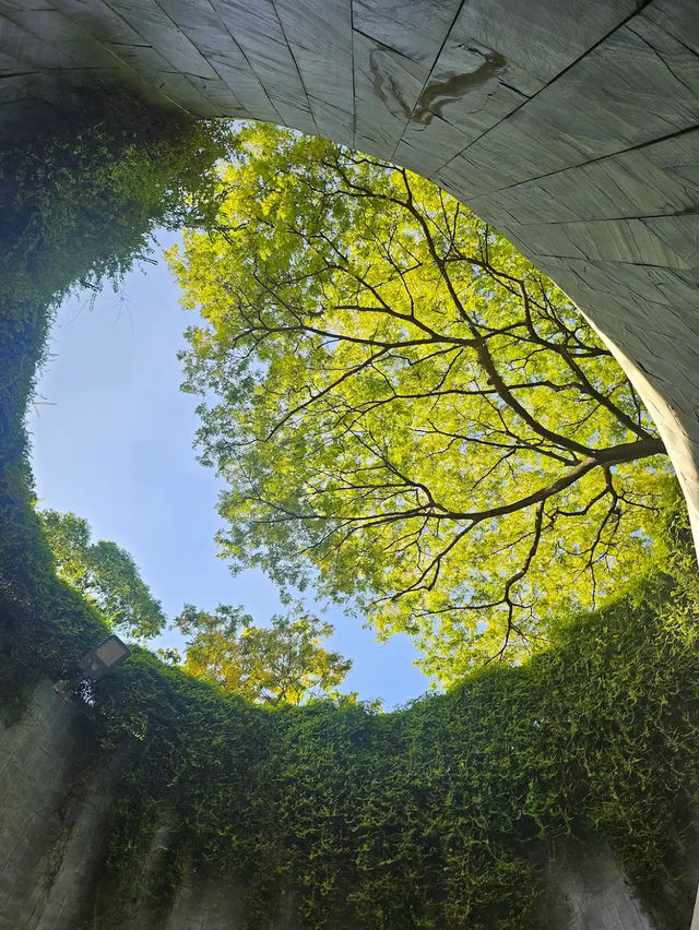 Fort Canning Park