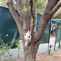 Tarangire 國家公園入口｜壯闊草原探險的起點