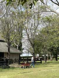 🌿 Rancho Charnvee Resort – เขาใหญ่