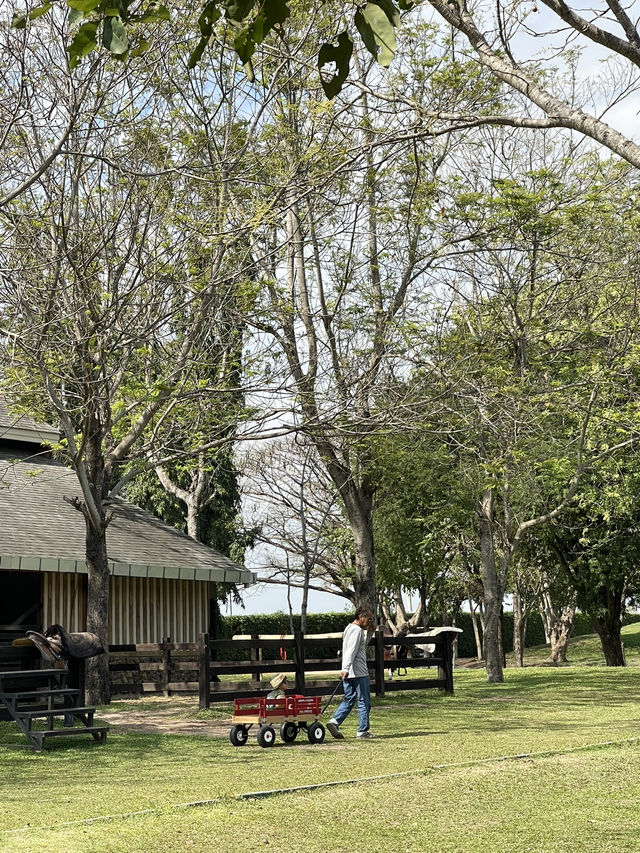🌿 Rancho Charnvee Resort – เขาใหญ่