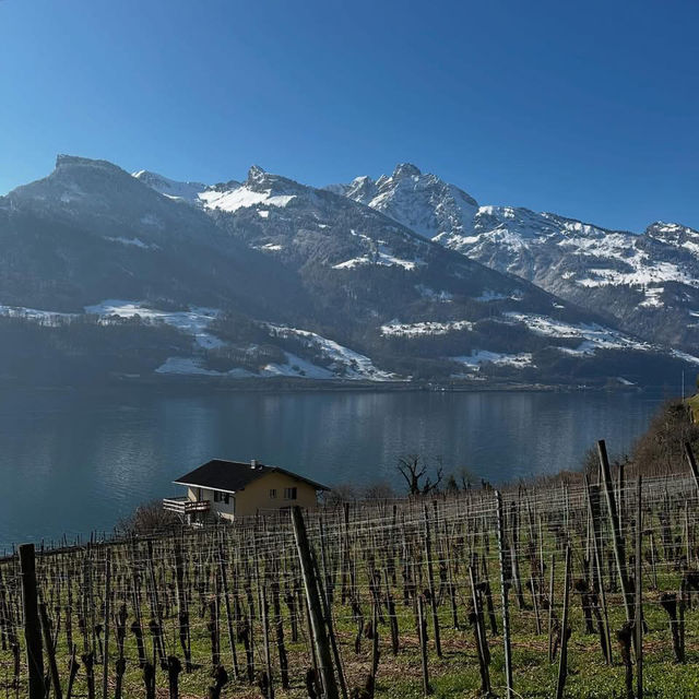 ✨ Lake Walen Lowdown: Alps, Cheese, & a Duck’s Great Fondue Heist 🦆🏔️