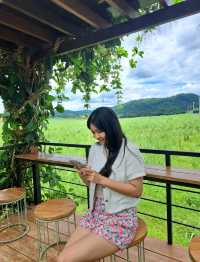 OLNA x PY Roasters