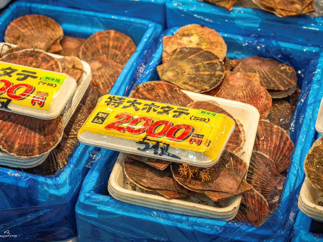 日本🇯🇵 青森，新鮮！優質！海鮮市場