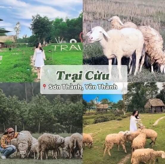 Du lịch NGHỆ AN