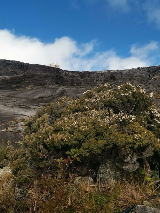 Kinabalu Geopark – UNESCO-Listed Mountain & Biodiversity Hotspot** 🏔️🌿  