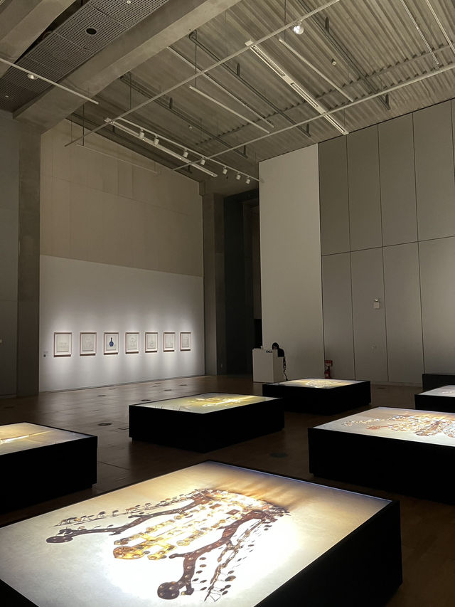 Asia Culture Museum เปิดโลกวัฒนธรรมเอเชียกลาง