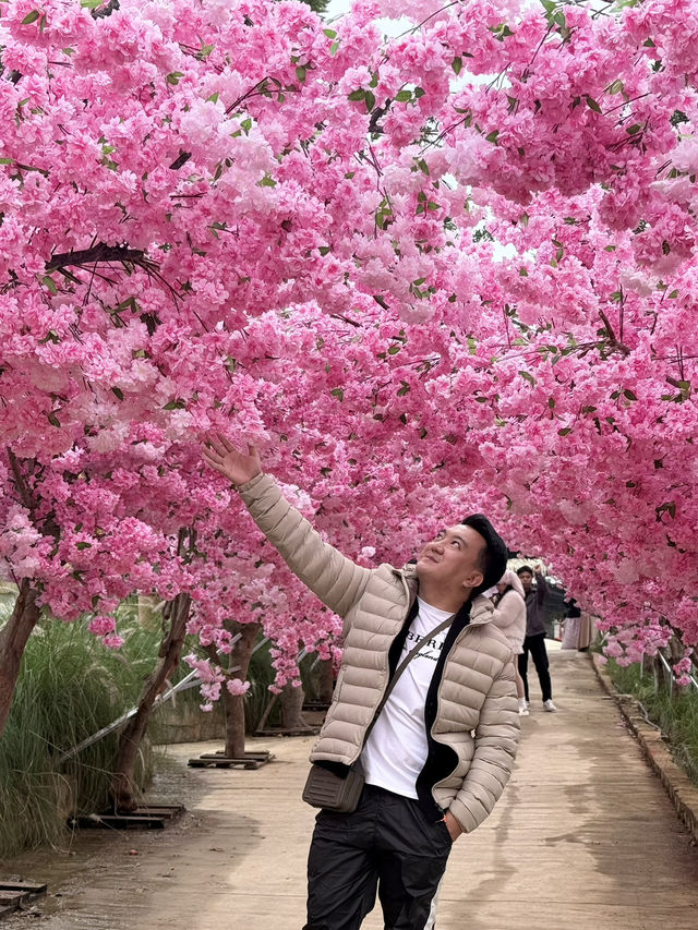 Da Lat in #April Blooms: A Review of the City of Eternal Spring