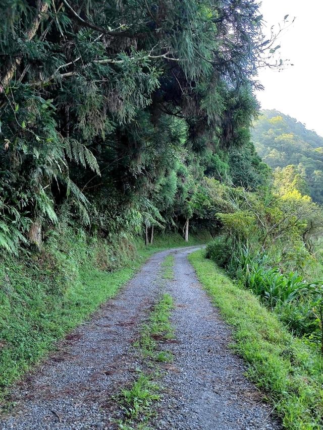 #雙連埤-宜蘭縣員山鄉
