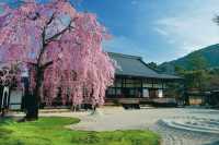 🌙 Kōdaiji: Kyoto’s Nighttime Magic & Bamboo Whispers 🌙