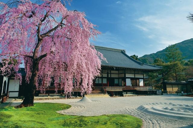 🌙 Kōdaiji: Kyoto’s Nighttime Magic & Bamboo Whispers 🌙
