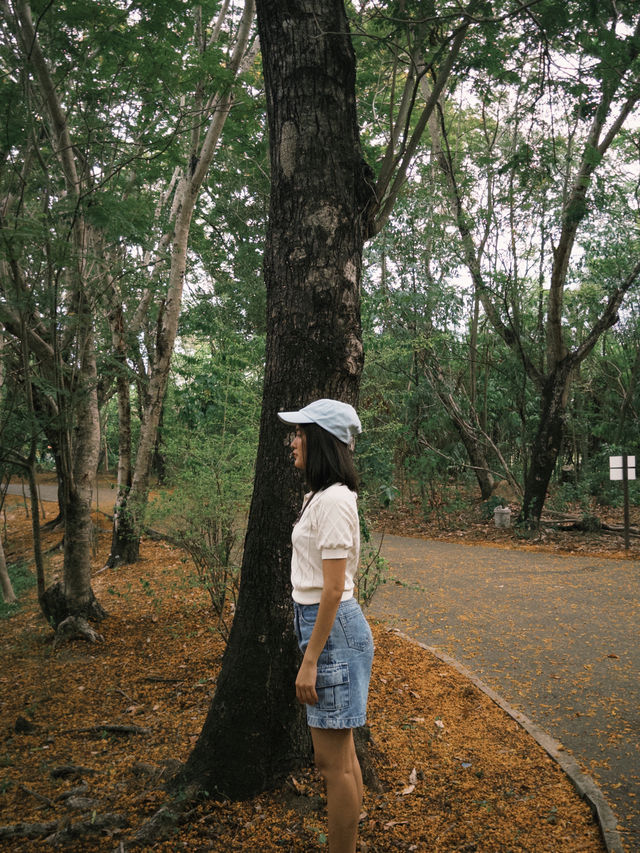 บางกระเจ้า สมุทรปราการ