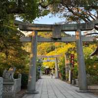 賽之神神社•靜謐中的神聖