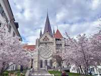 Cherry Blossoms in Lausanne, Switzerland