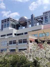 “Blossoms of Tomorrow: Springlight in Odaiba”