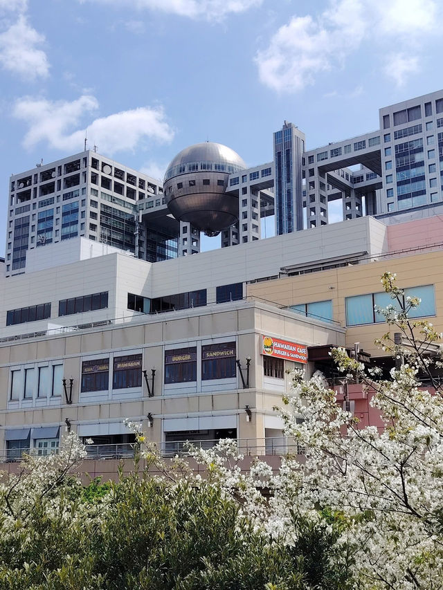 “Blossoms of Tomorrow: Springlight in Odaiba”