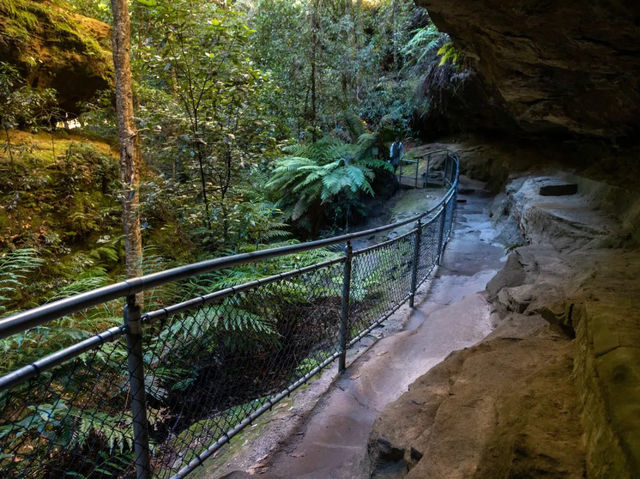 My Serene Weekend Getaway in the Blue Mountains 