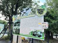 บ้านกล้วย & ไข่ Cafe