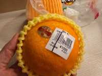 마쓰야마 사랑스러운 귤🍊의 도시