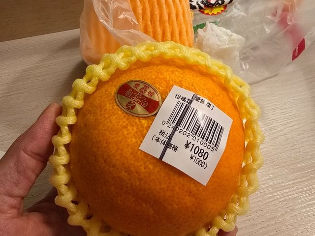 마쓰야마 사랑스러운 귤🍊의 도시