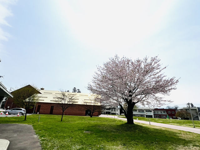 弘前れんが倉庫美術館 