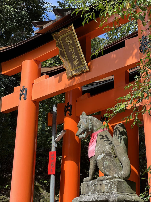 Fushimi Inari Taisha: Kyoto’s Thousand Torii Gates of Spiritual Wonder