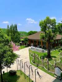 🇹🇭Chiangmai Hidden Gem with Japan vibes 