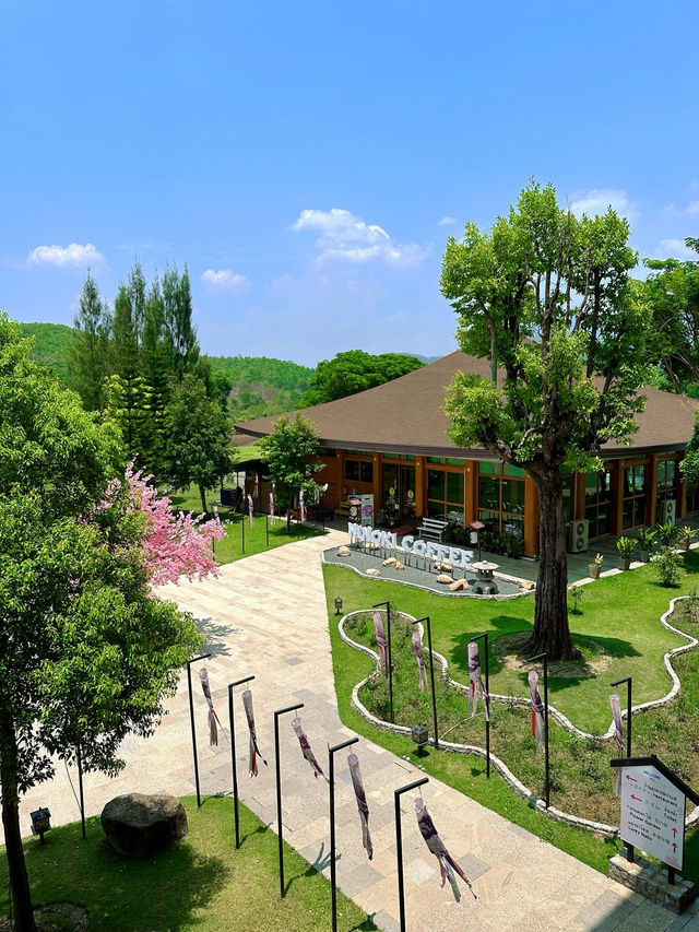 🇹🇭Chiangmai Hidden Gem with Japan vibes 