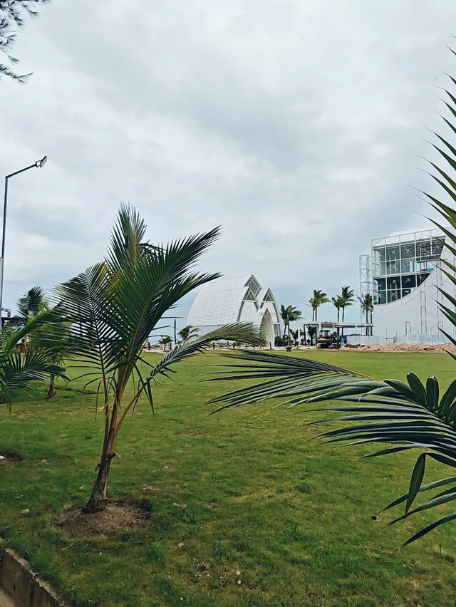 Next Level Koffie & Beachfront Bar