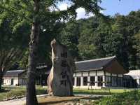 제천에서 만나는 힐링 여정🍂 묵은지 닭도리탕부터 성지 산책, 숲속 리조트까지