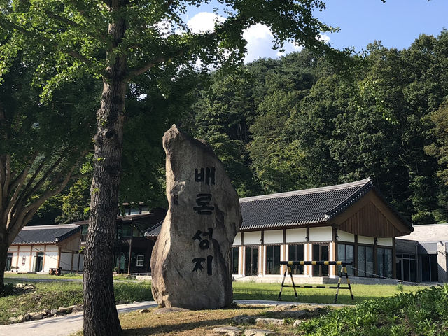 제천에서 만나는 힐링 여정🍂 묵은지 닭도리탕부터 성지 산책, 숲속 리조트까지
