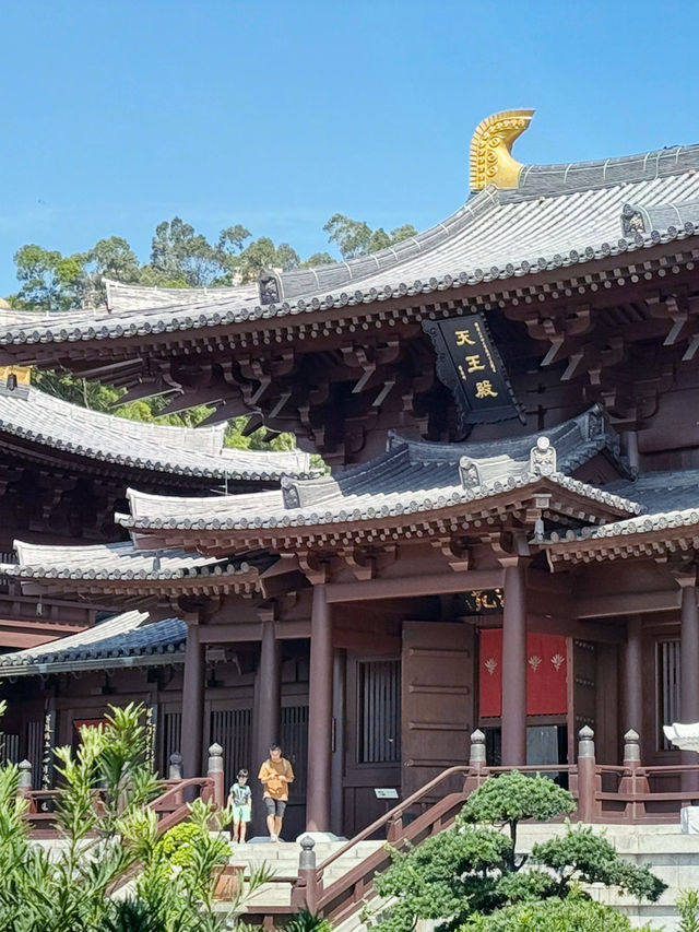 香港｜志蓮淨苑與南蓮園池｜港版小京都