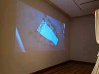 해외여행 칠레 안티아고의 소형 미술관 Museo de Artes Visuales MAVI UC