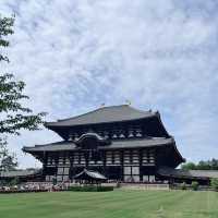 Meeting the Great Buddha: Todaiji