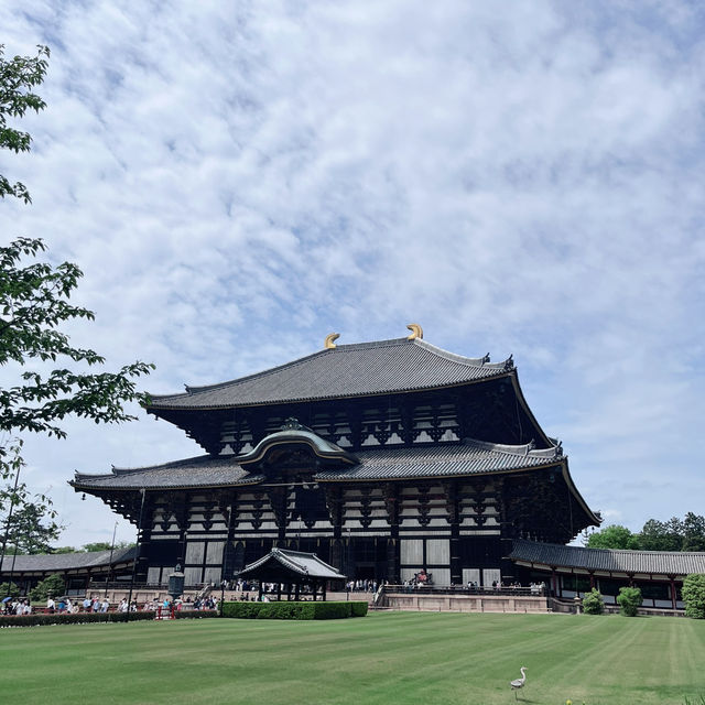 Meeting the Great Buddha: Todaiji