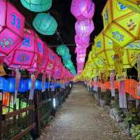 삼광사 등불축제 부산여행