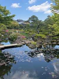 🌺 Yuushien Garden, Daikon Island — Japan’s #1 Peony Haven