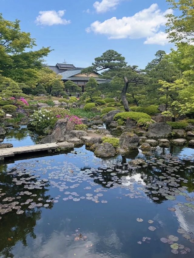 🌺 Yuushien Garden, Daikon Island — Japan’s #1 Peony Haven