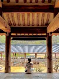 Andong: The Capital of Korean Spiritual Culture